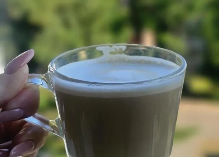 Pod Zurawiem Appartement